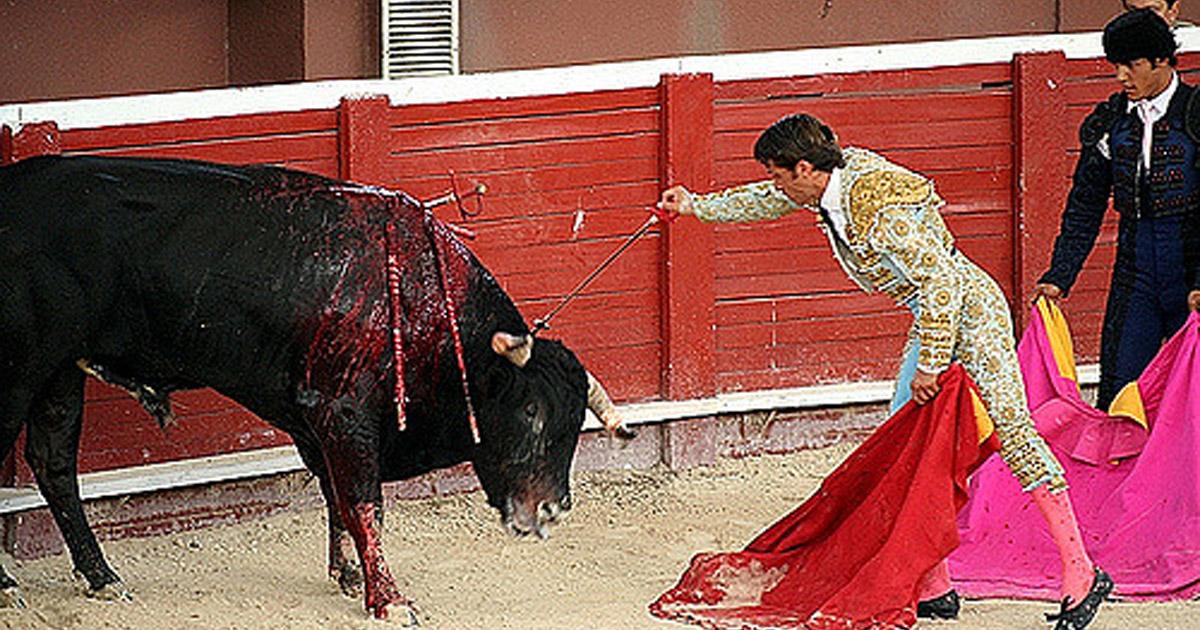 Cáceres libre de corridas de toros