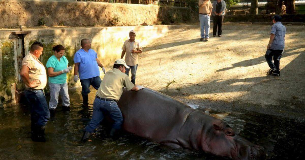 Paguen por la muerte de Gustavito