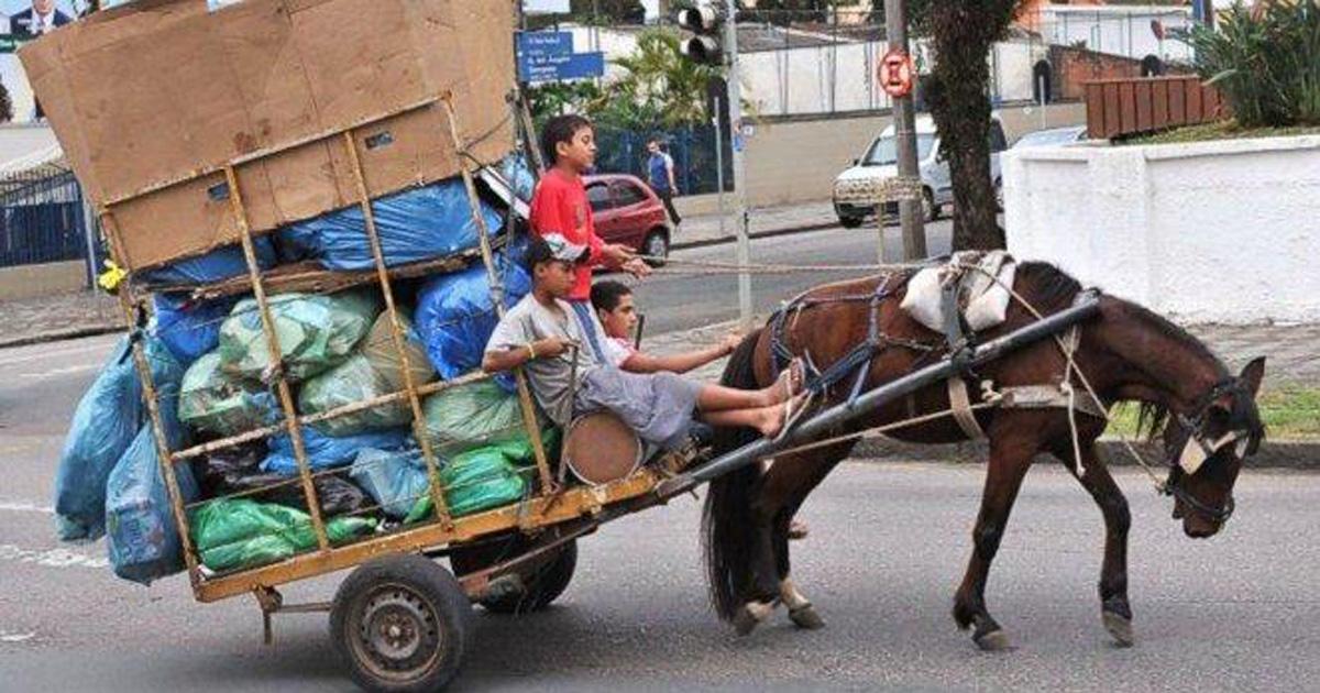 Que prohíba la tracción a sangre