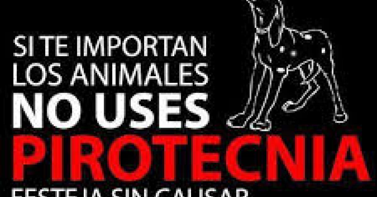 Control o prohibición de lanzamientos de cohetes, petardos o cualquier otro tipo de  pirotecnia