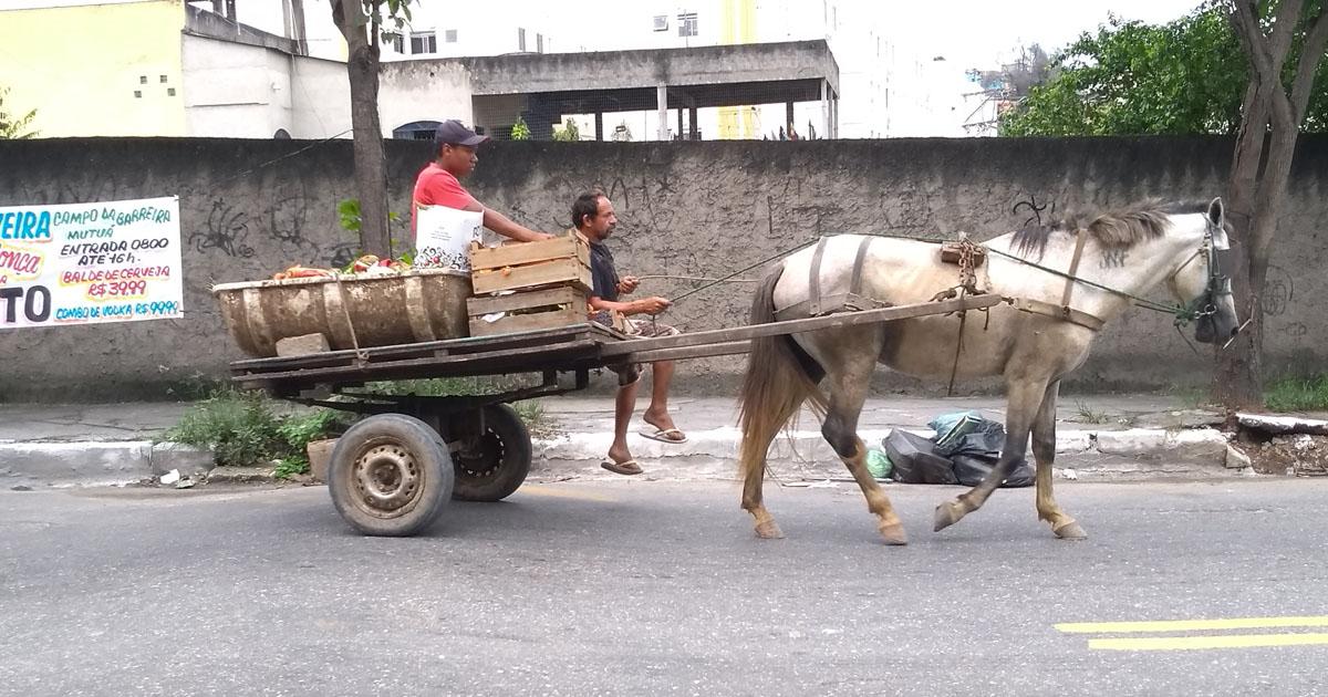 ¿Dónde está el dinero que el Gobierno Federal envía a los animales de nuestra ciudad?