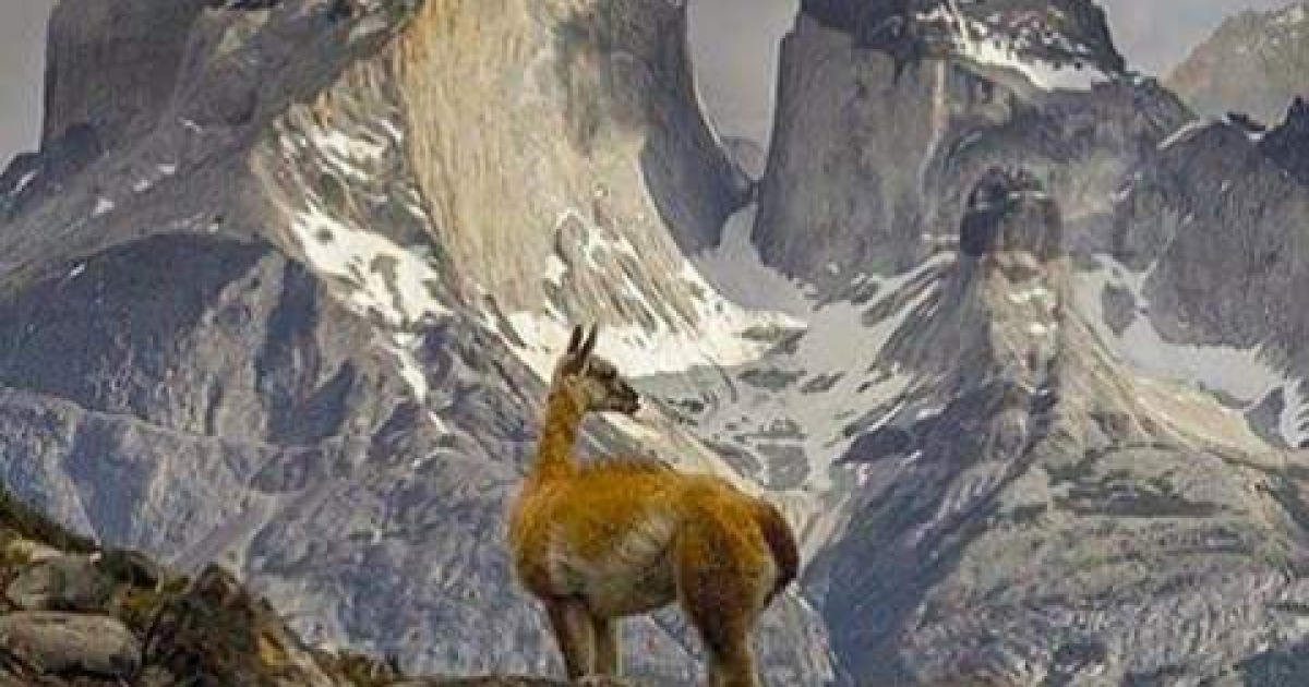 Non permettere una discarica nella Riserva Mondiale della Biosfera Torres del Paine