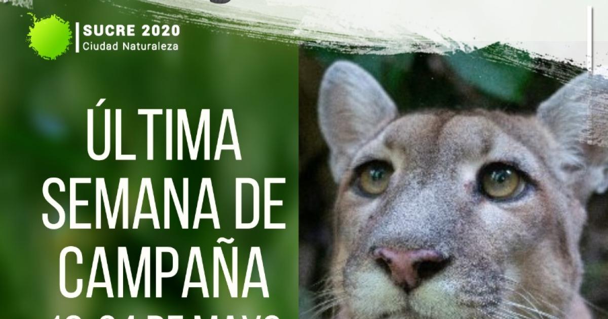 Donaciones para los Centros de Custodia de Fauna Silvestre de Bolivia