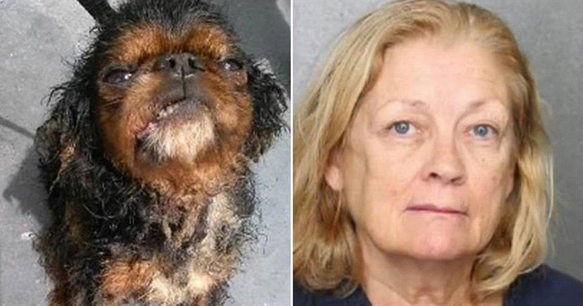 Pet store owner jailed and shop closed!