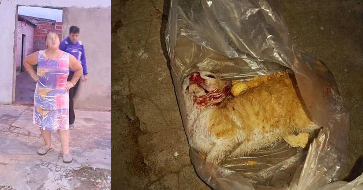 Punishment of the murderer of a cat beaten to death