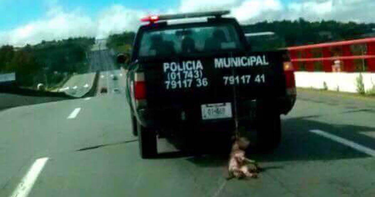 Denunciare, punizione e giustizia al cane legato a Polizia Municipale di pattuglia in Zempoala, Hidalgo, Messico