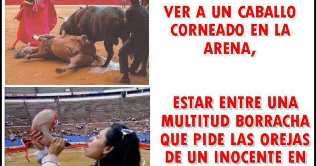 Prohibir las corridas de toros en la Plaza La Santamaría en Bogotá