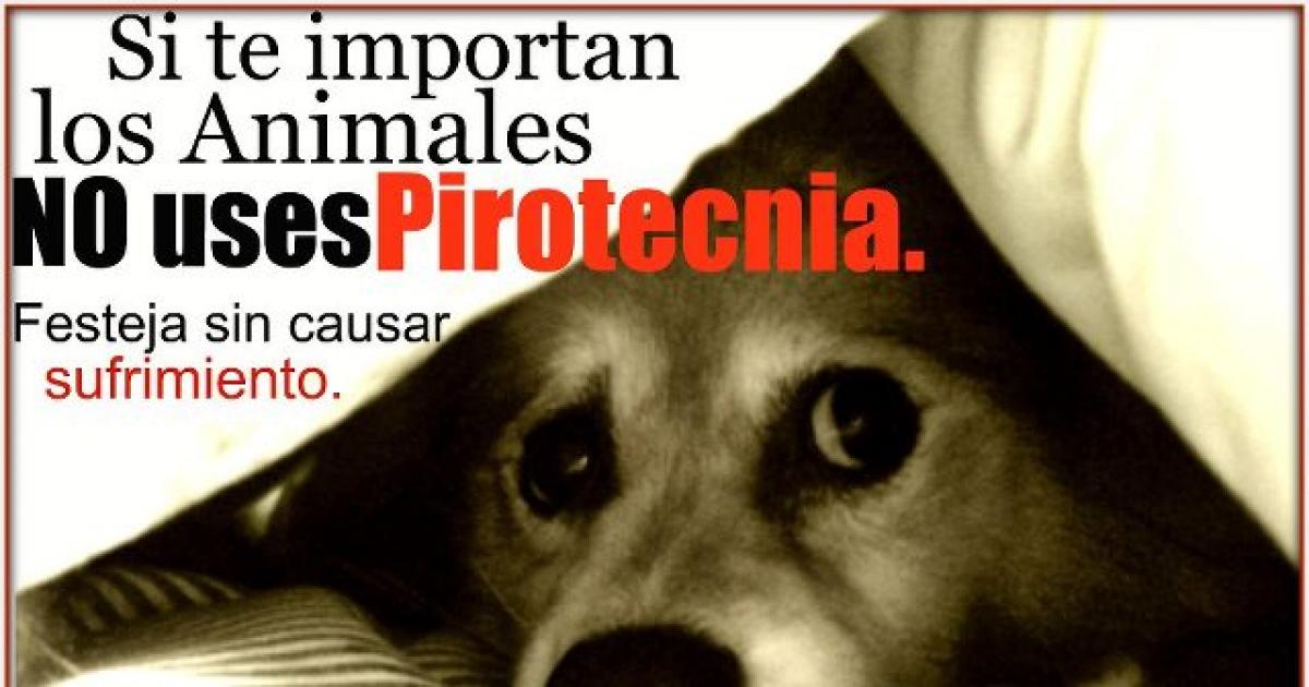 Reglamentar la prohibición de la pirotecnia sonora. Vamos que se puede llegar a 100.000 firmas!