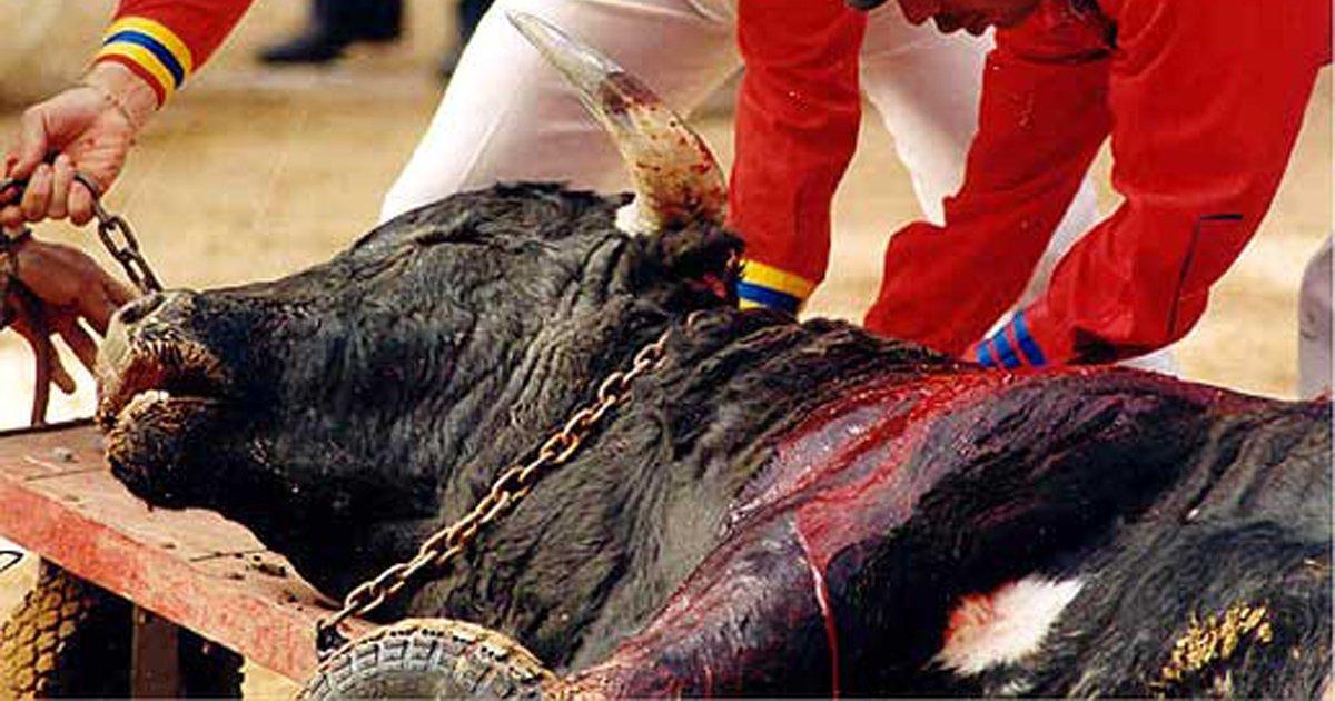 Stop Bullfighting!