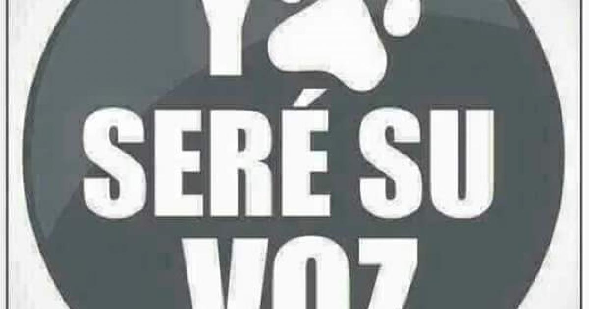 Poner en vigencia y hacer cumplir la Ley de terminar con la tracción a sangre y quitar los caballos a los dueños