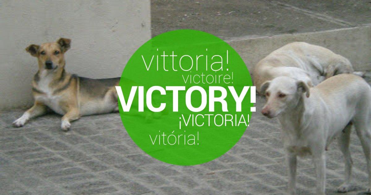 We ask for a Public Veterinary Hospital in Dominican Republic!