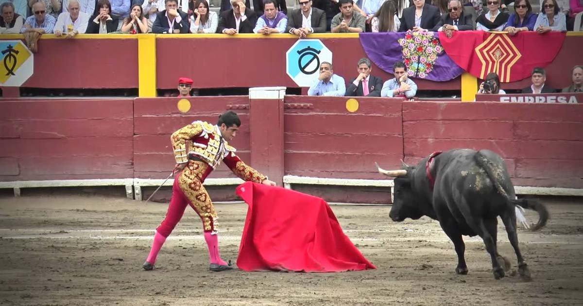 Salvemos a los Toros del Perú