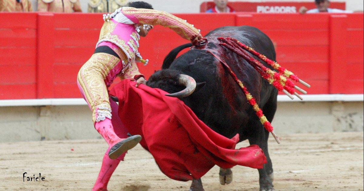 No More Bullfights