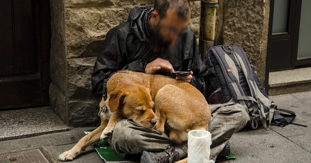 Se necesita un refugio para las personas que están con sus mascotas en situación de calle. 