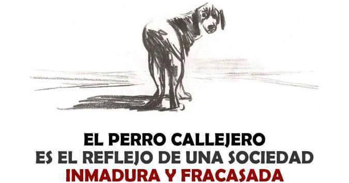 Crear una ley obligatoria para esterilizar a perritos callejeros de ambos sexos. Propaganda de concientización ciudadana