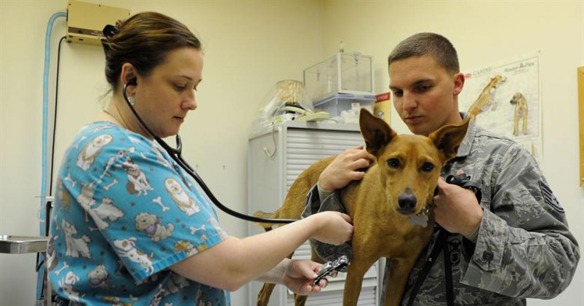 Hospital Público Veterinario