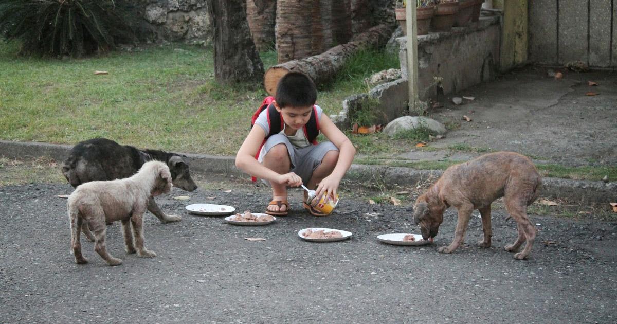 Sign against the persecution of those who feed abandoned animals