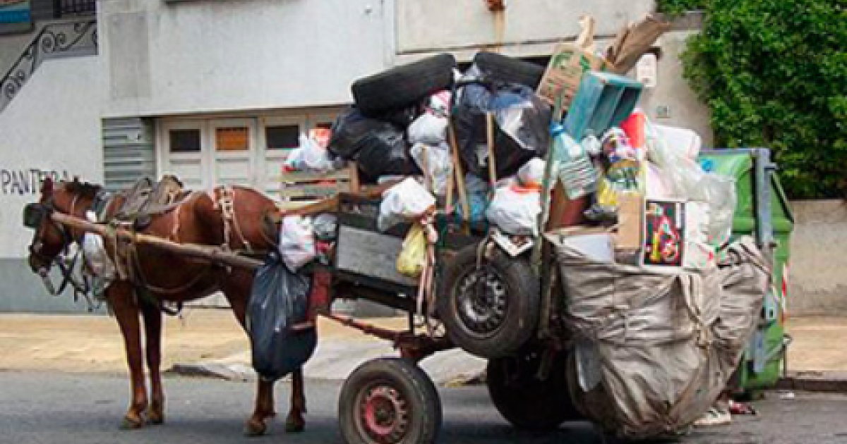 Eliminen los carros, ayuden a los pobres caballos maltratados a diario