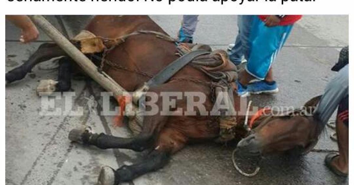 Prohibir usar caballos para tirar carretas