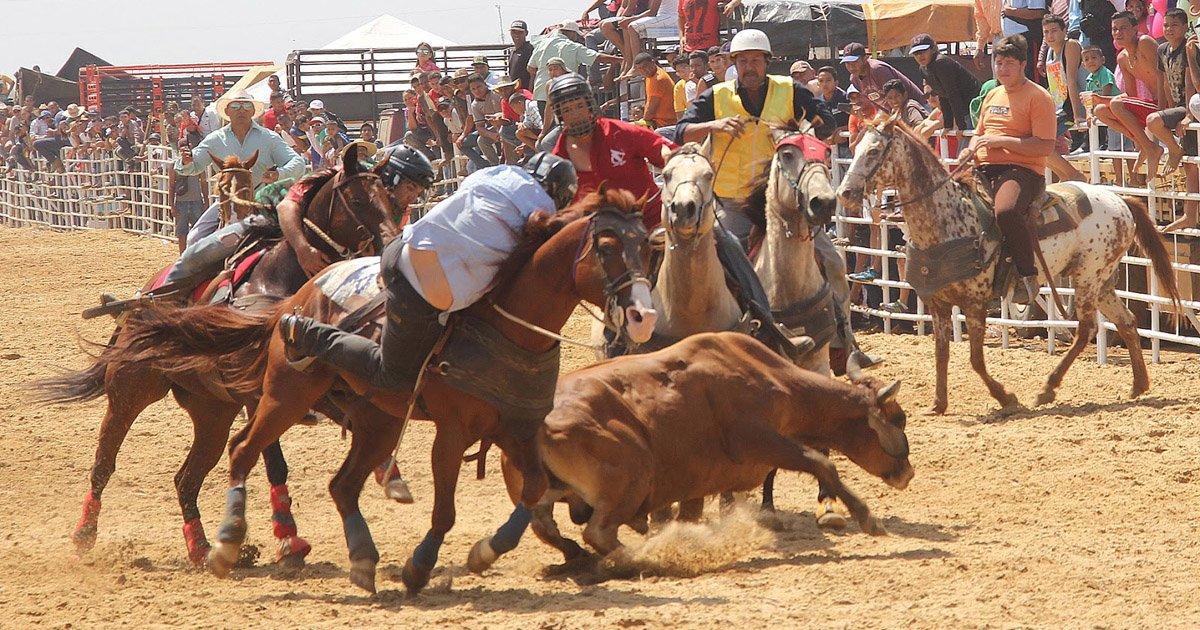 Eliminar Toros Coleados, Corridas de Toros, Peleas de Gallos, Cualquier Evento de Crueldad Contra los Animales