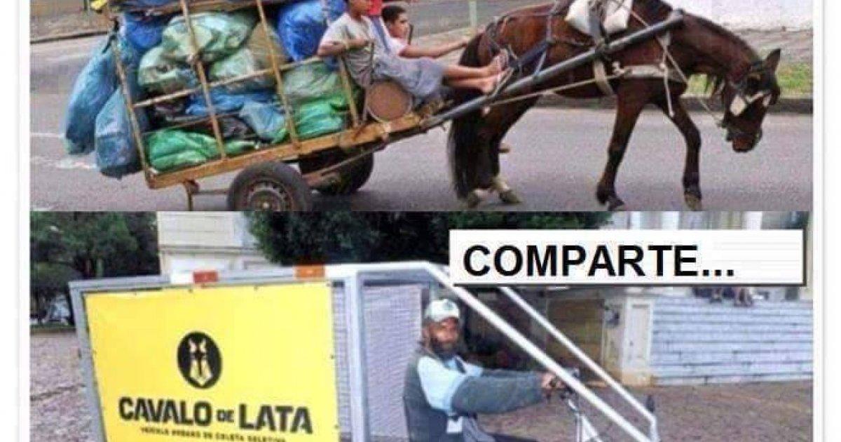 Liberemos a los caballos de la esclavitud, trabajo forzado y sufrimiento diario
