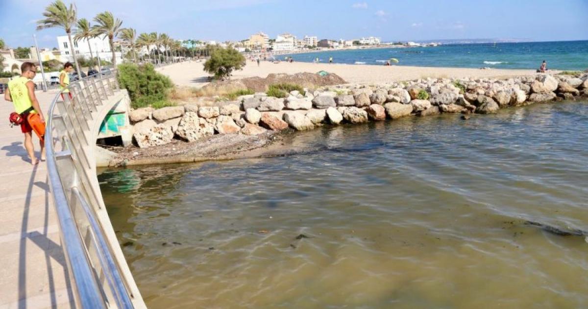 Vertidos fecales en nuestras playas de Palma de Mallorca