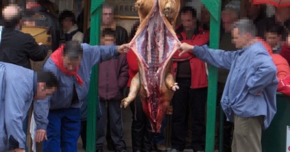 Fermetures et amendes pour les stalles qui tuent les animaux dans la rue
