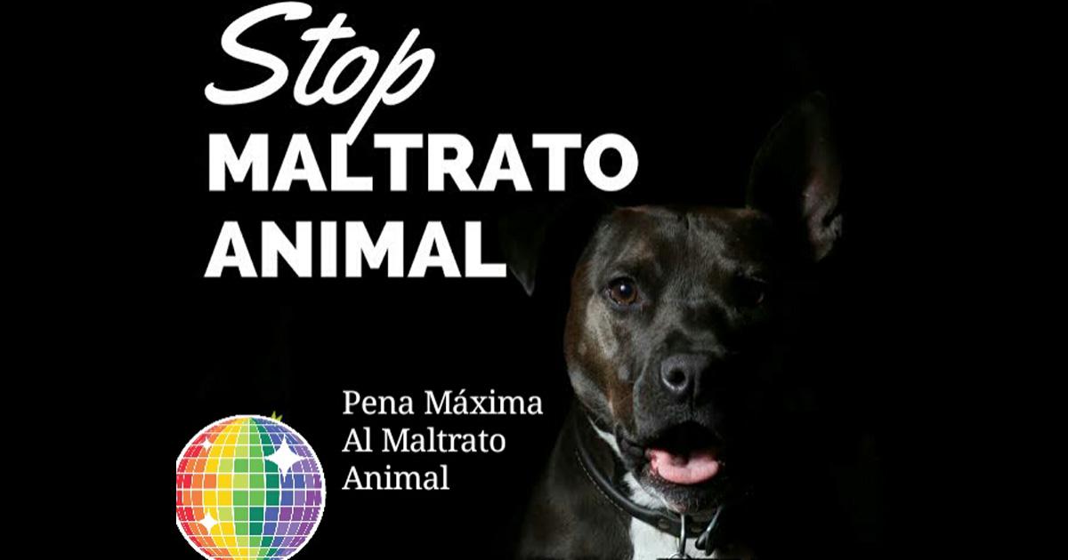 Pena máxima al maltrato animal