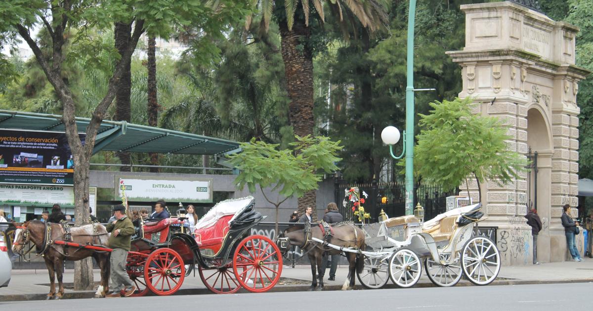 Que retiren a los caballos de los Mateos y los lleven a algún refugio!