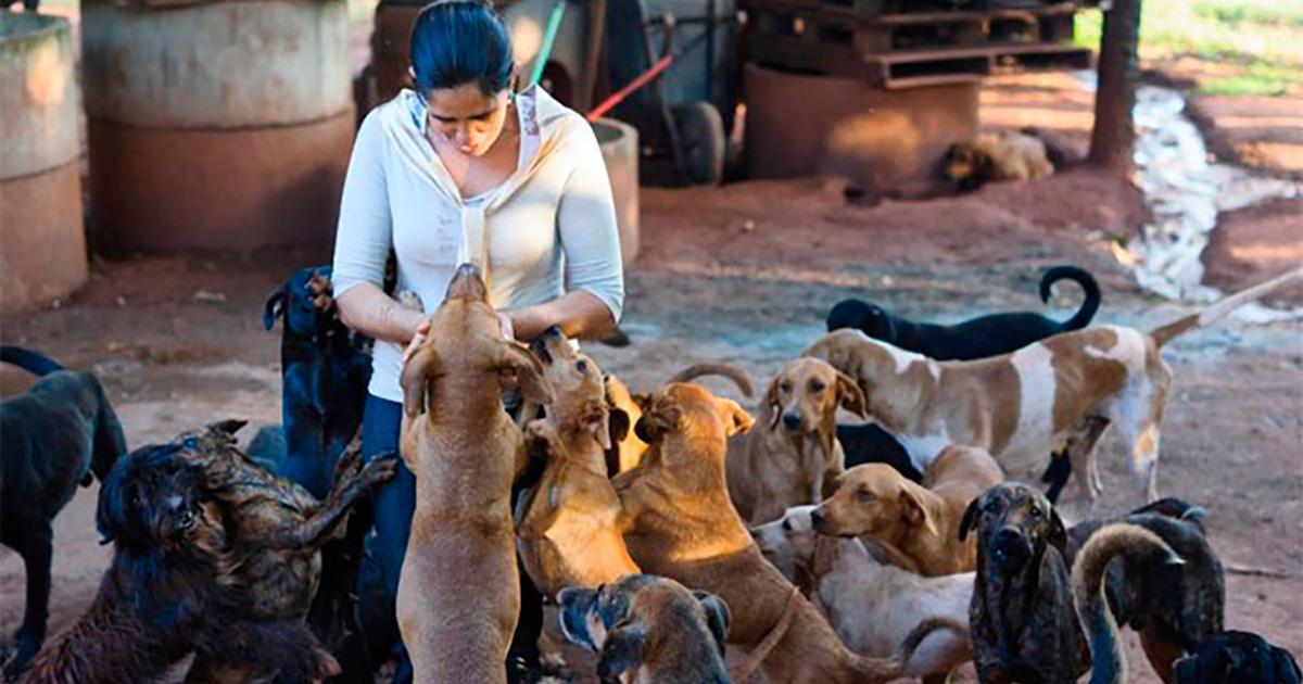 Proponer deducción del impuesto sobre la renta por gastos de manutención a las personas que cuidan y mantienen a los animales