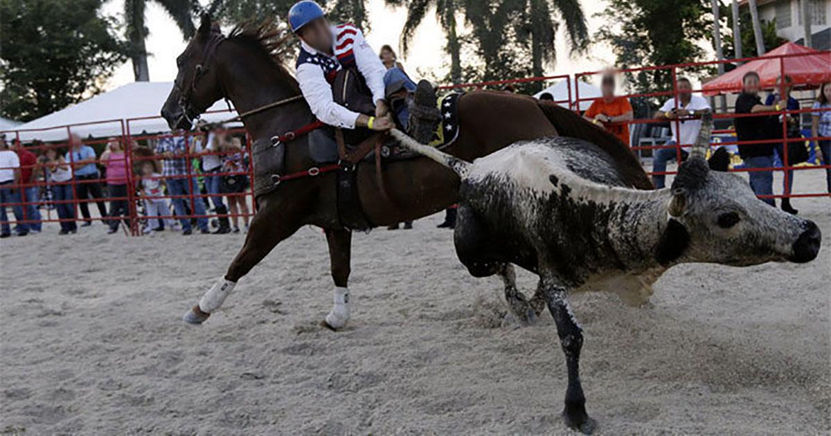 No a los toros coleados en Venezuela