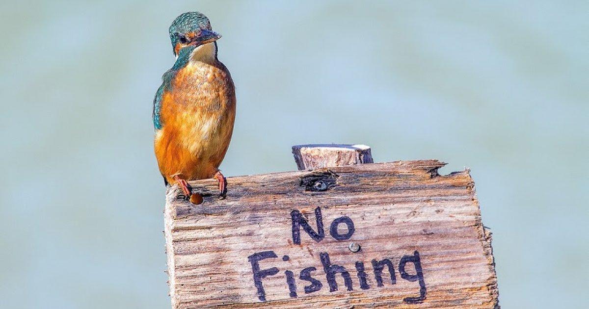 Control o prohibición de la pesca en La Presa Los Rosales en la Urbanización Parquelagos