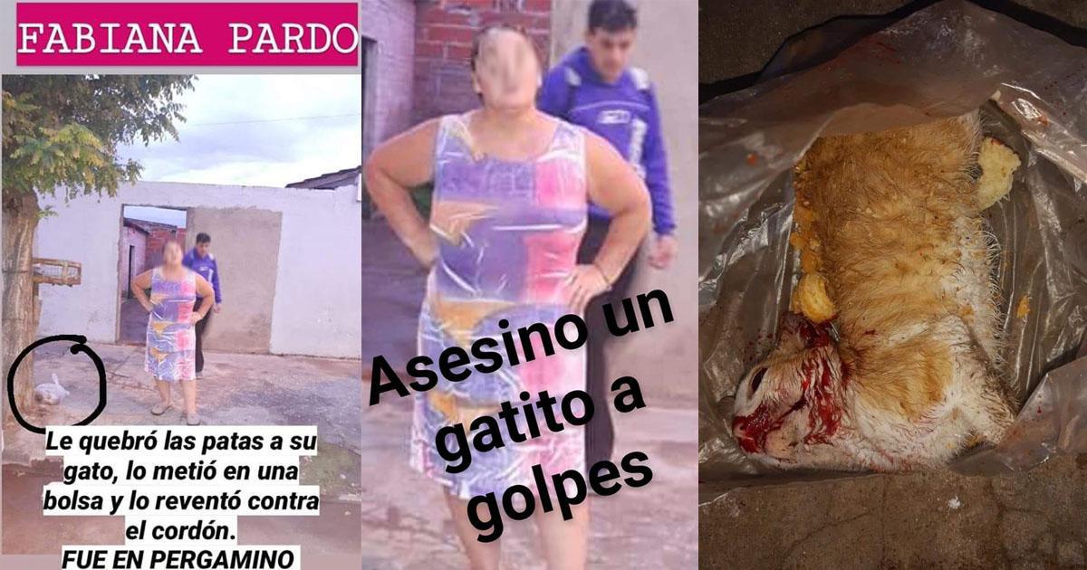 Presa a esta mujer por asesinar a este gato!