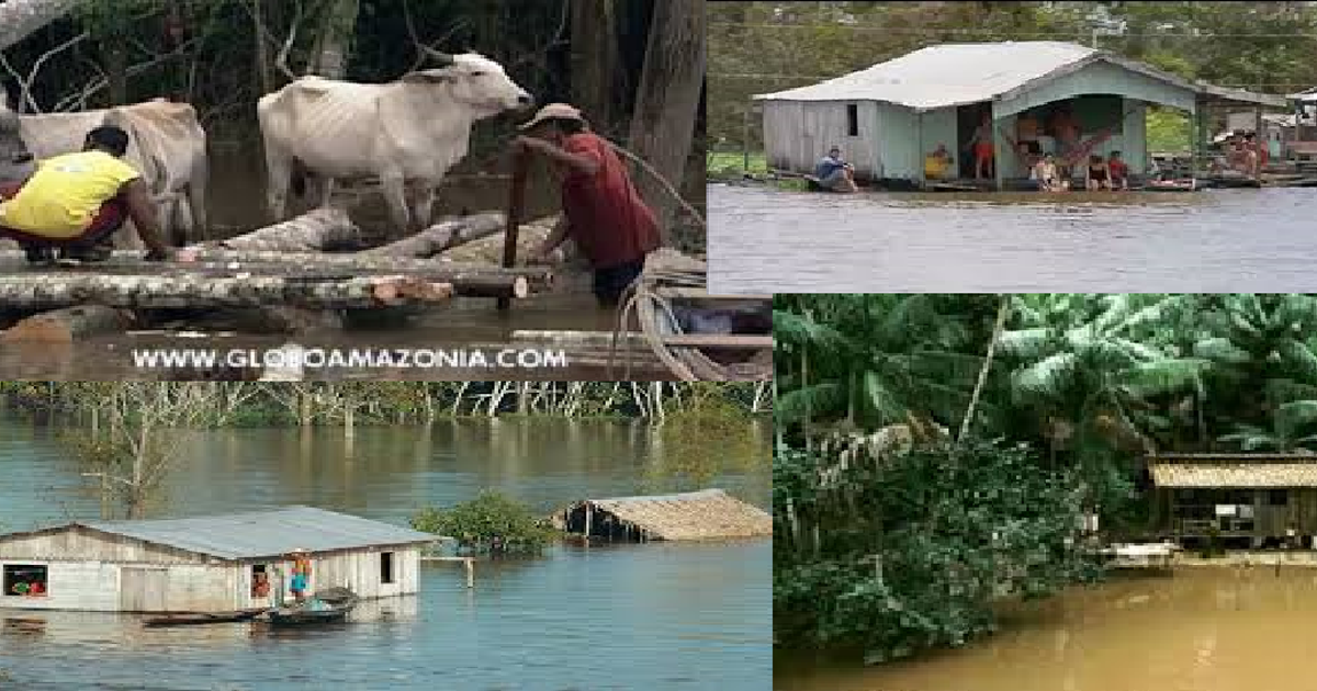 Ayudar al pueblo de Amazonas para que viva mejor