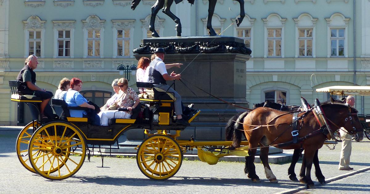 Abolir carruagens puxadas por cavalos para o turismo