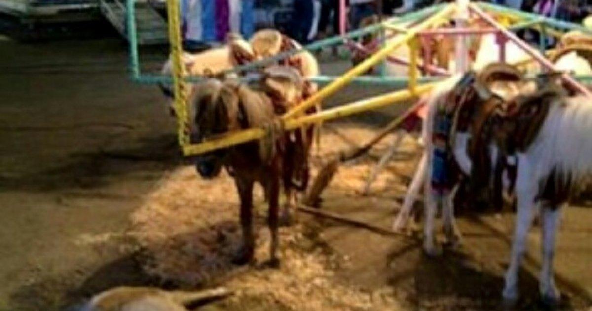 The Feria de Abril will no longer count on ponys attractions