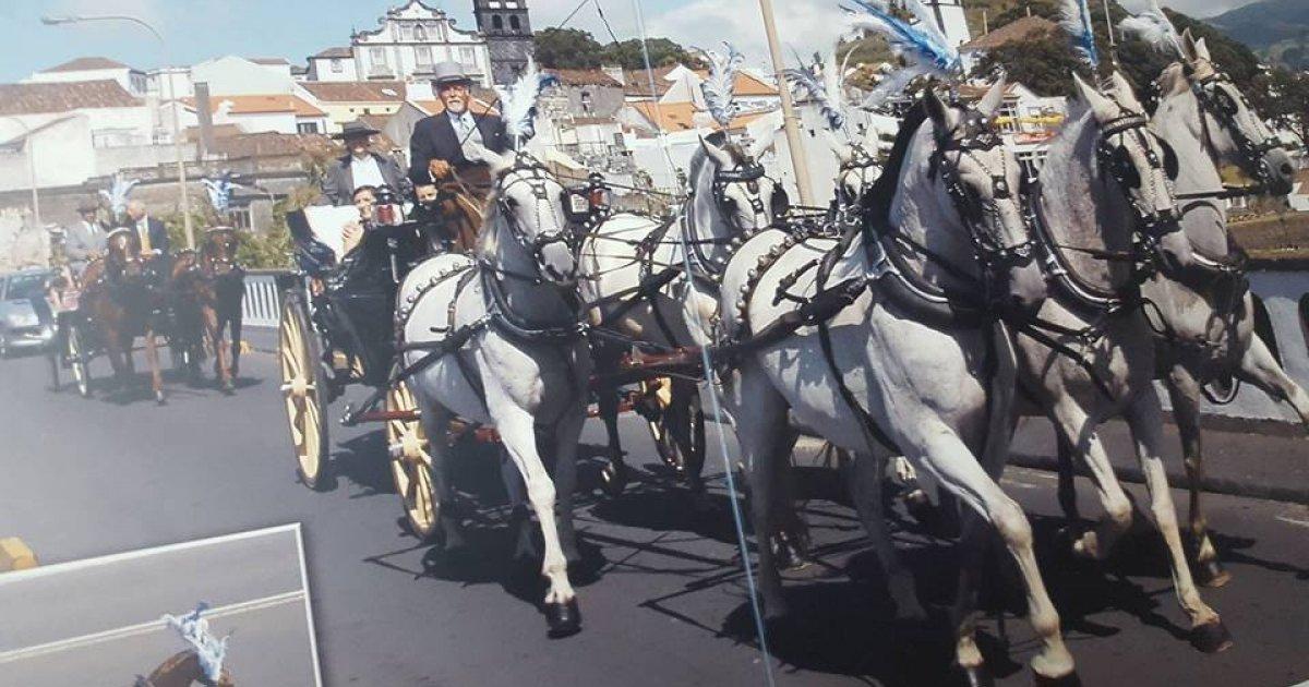 Prohibir el uso de cascabeles en los caballos de carruajes