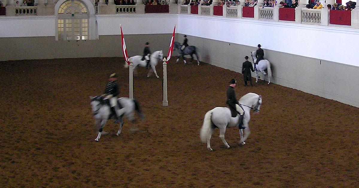 Ne visitez pas le spectacle de l'école espagnole d'équitation à Vienne