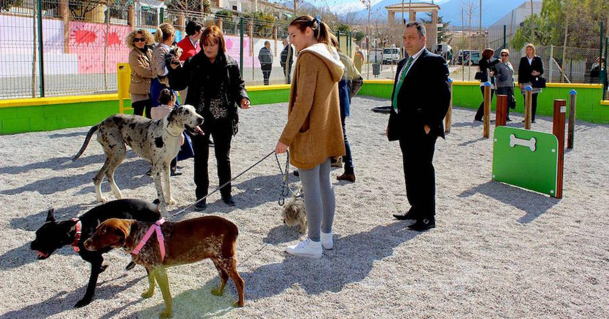 Un recinto canino en Fuencarral