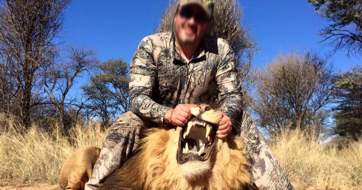 Sauvez les lions de l'extinction