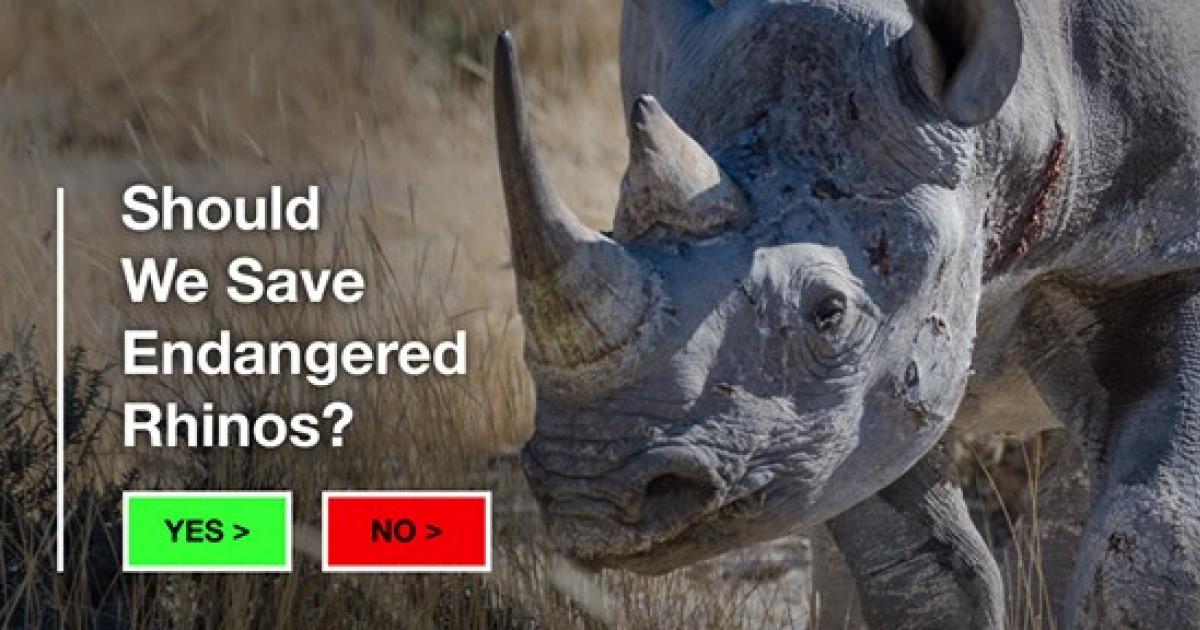 Criminalizar la caza furtiva de rinocerontes en todo el mundo