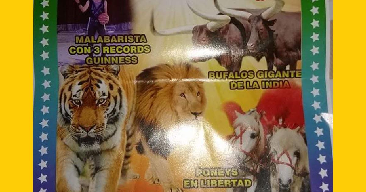 Cerrar el Circo Continental por condiciones precarias de los animales aparte del maltrato que sufren