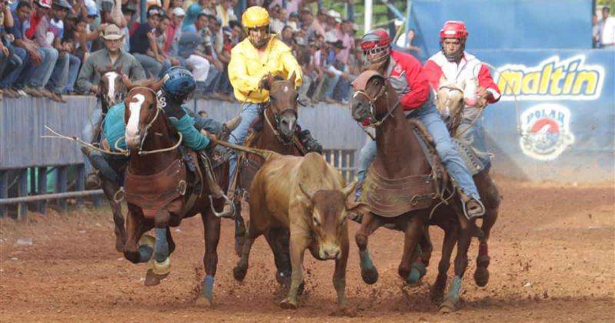 Prohibición de los toros coleados en Venezuela y el resto de países donde se practique