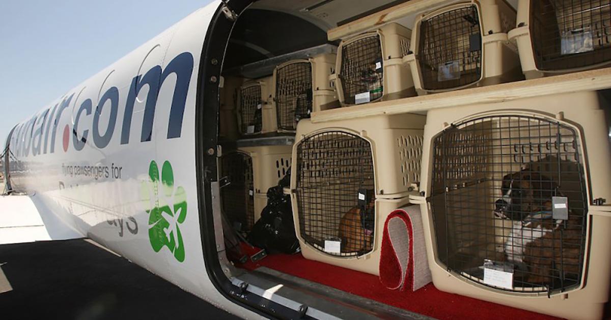 Ley: prohibir la entrada de animales en la bodega de los aviones