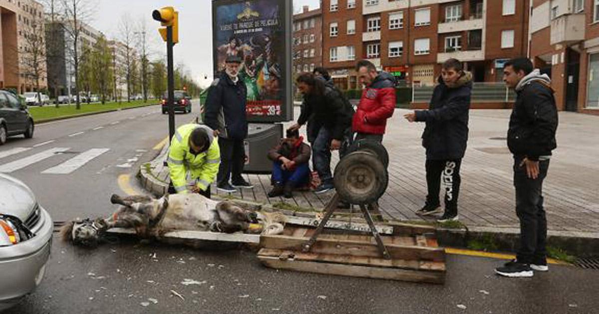 Prohíban en la ciudad y alrededores el uso de carros con caballos