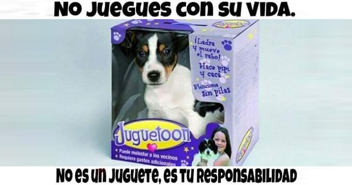 Dejen de vender animales y hagan lo posible por evitar la venta de animales en Navidad