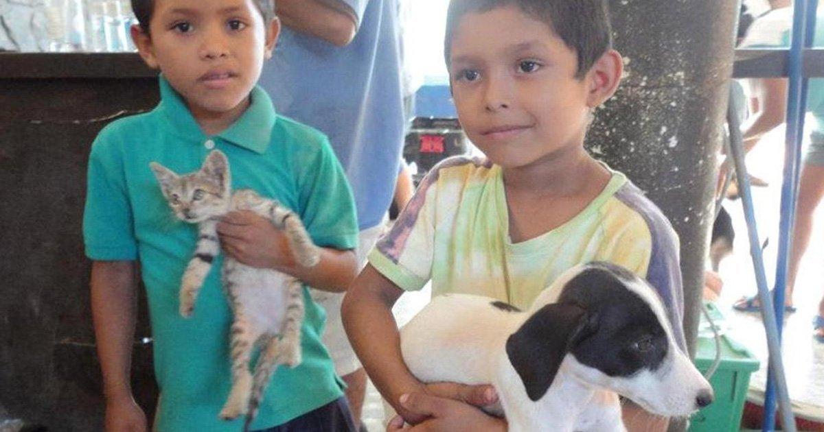 En Nicaragua se debe hacer cumplir la Ley 747 de Protección Animal