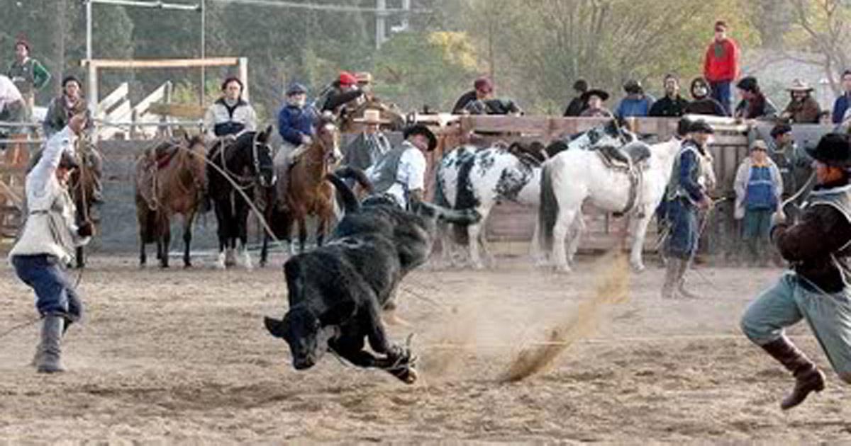 Terminen con las carreras de perros y las pialadas