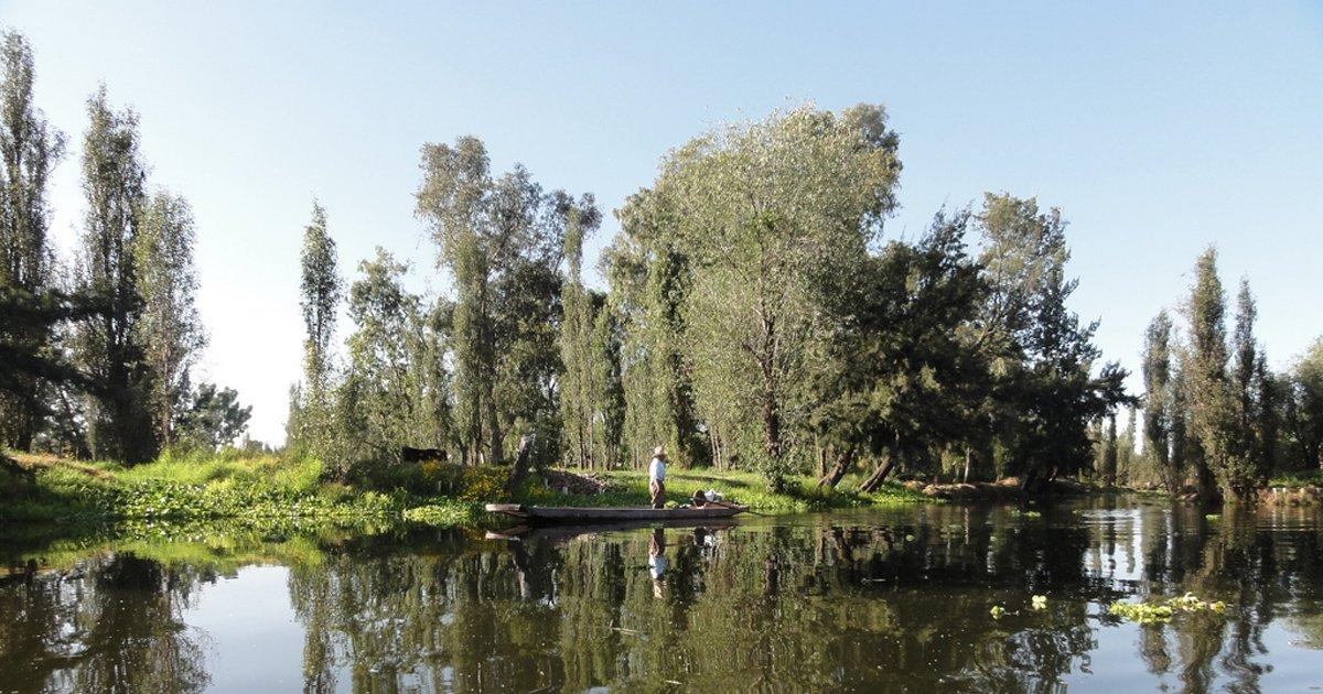 Salvemos las zonas ecológicas de Xochimilco, Tlahuac, Milpa Alta, Contreras etc. de la invasión de la deforestación