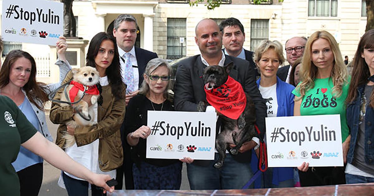 Acabemos con el Festival de Yulin #StopYulin